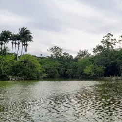 Parque da Cidade - Sao Jose dos Campos