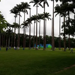 Parque Municipal Roberto Burle Marx - Sao Jose dos Campos