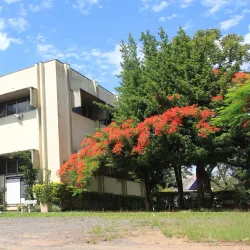 Museu Histórico Visconde de São Leopoldo - Sao Leopoldo