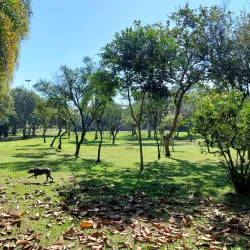 Parque Jardim Floresta - Sao Leopoldo