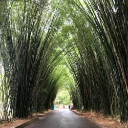 Ibirapuera Park - Sao Paulo