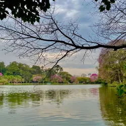 Ibirapuera Park - Sao Paulo