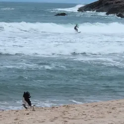 Canto do Moreira Beach - Sao Sebastiano