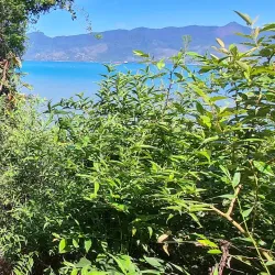 Serra do Mar State Park - Sao Sebastiano