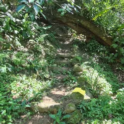 Serra do Mar State Park - Sao Sebastiano