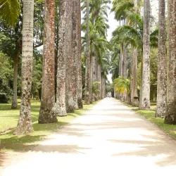 Seropédica Botanical Gardens - Seropédica
