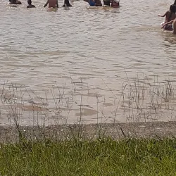 Parque Ecológico de Sumaré - Sumaré