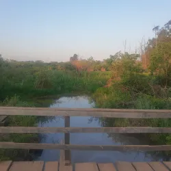 Parque Ecológico de Sumaré - Sumaré