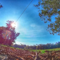 Parque Linear do Matão - Sumaré