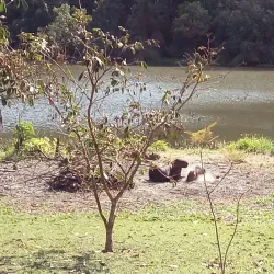 Parque Linear do Matão - Sumaré