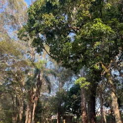 Parque Linear do Matão - Sumaré