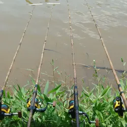 Parque Linear do Matão - Sumaré