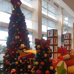 Shopping Sumaré - Sumaré