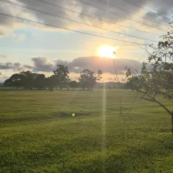 Parque Municipal da Cidade de Suzano - Suzano