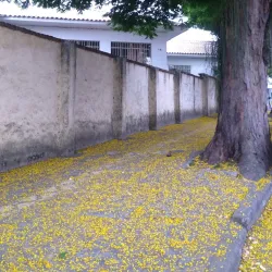 Casa da Cultura de Taubaté - Taubate