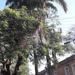 Casa da Cultura de Taubaté - Taubate