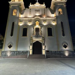 Cathedral of St. Francis of Assisi - Taubate