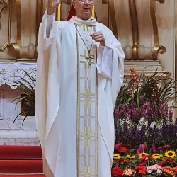 Cathedral of St. Francis of Assisi - Taubate