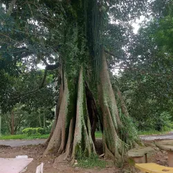 Parque Municipal Vale do Itaim - Taubate