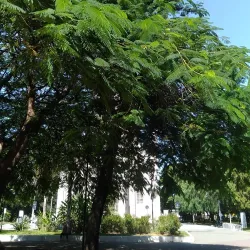 Praça Santa Terezinha - Taubate