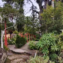 Feirinha do Alto - Teresopolis