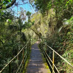 Parque Nacional da Serra dos Órgãos Visitor Center - Teresopolis