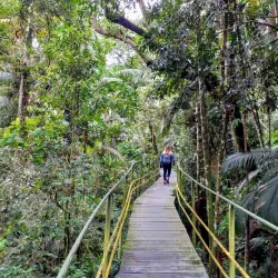 Parque Nacional da Serra dos Órgãos Visitor Center - Teresopolis
