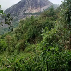 Pedra do Sino - Teresopolis