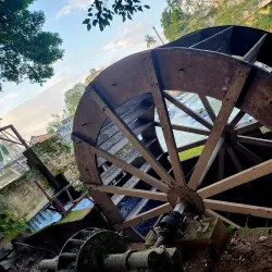 Parque das Nascentes - Timbo (Timbó)