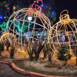 Parque Municipal da Serra - Timbo (Timbó)