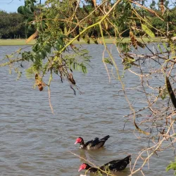 Parque Municipal de Exposições - Toledo