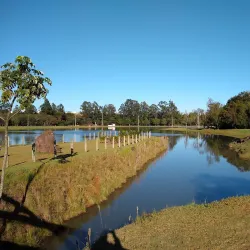 Parque Municipal de Exposições - Toledo
