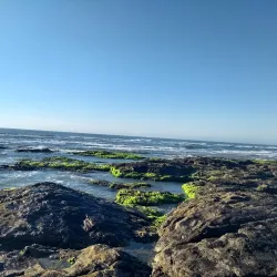 Parque Estadual de Itapeva - Torres