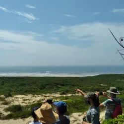 Parque Estadual de Itapeva - Torres