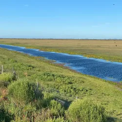 Estação Ecológica do Taim - Tramandaí