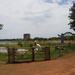 Lagoa Maior - Três Lagoas