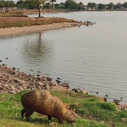 Lagoa Maior - Três Lagoas