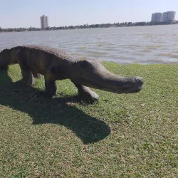 Lagoa Maior - Três Lagoas