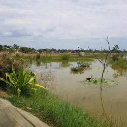 Lagoa Maior - Três Lagoas