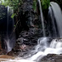 Parque Ambiental - Três Lagoas