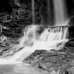 Parque Ambiental - Três Lagoas