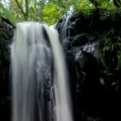 Parque Ambiental - Três Lagoas
