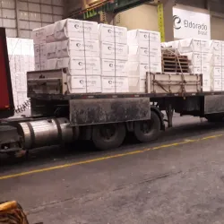 Usina de Celulose Eldorado - Três Lagoas