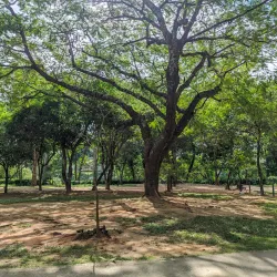 Parque Natural Municipal de Três Rios - Três Rios