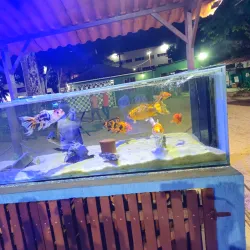 Parque Natural Municipal de Três Rios - Três Rios