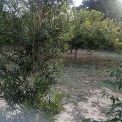 Parque Natural Municipal de Três Rios - Três Rios