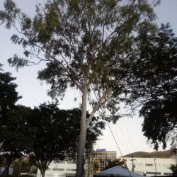 Parque Natural Municipal de Três Rios - Três Rios