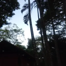 Parque Natural Municipal de Três Rios - Três Rios