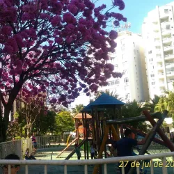 Praça Getúlio Vargas - Três Rios