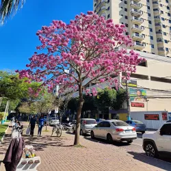 Praça Getúlio Vargas - Três Rios